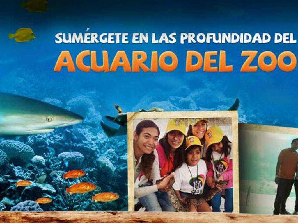 Hostal Casa Anita Guadalajara Exteriér fotografie